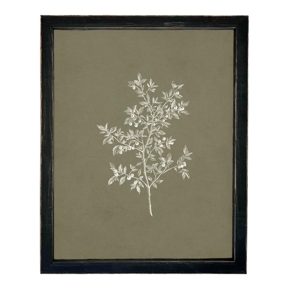 Framed Vintage Botanical Print on Canvas #ST-170