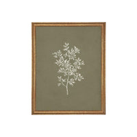 Framed Vintage Botanical Print on Canvas #ST-169