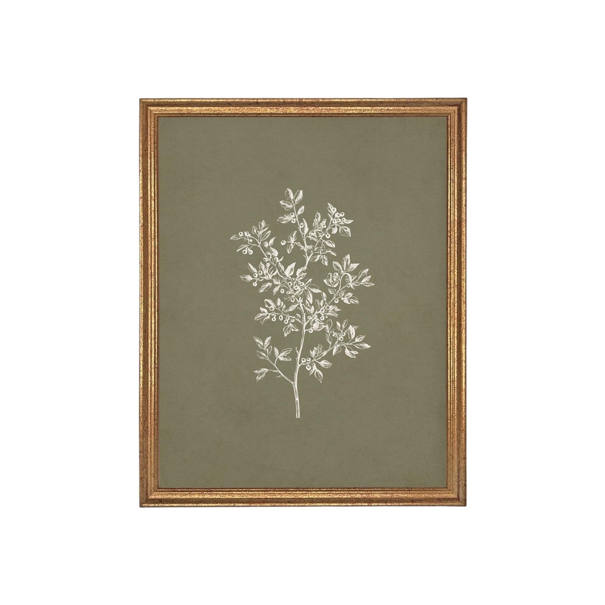 Framed Vintage Botanical Print on Canvas #ST-169