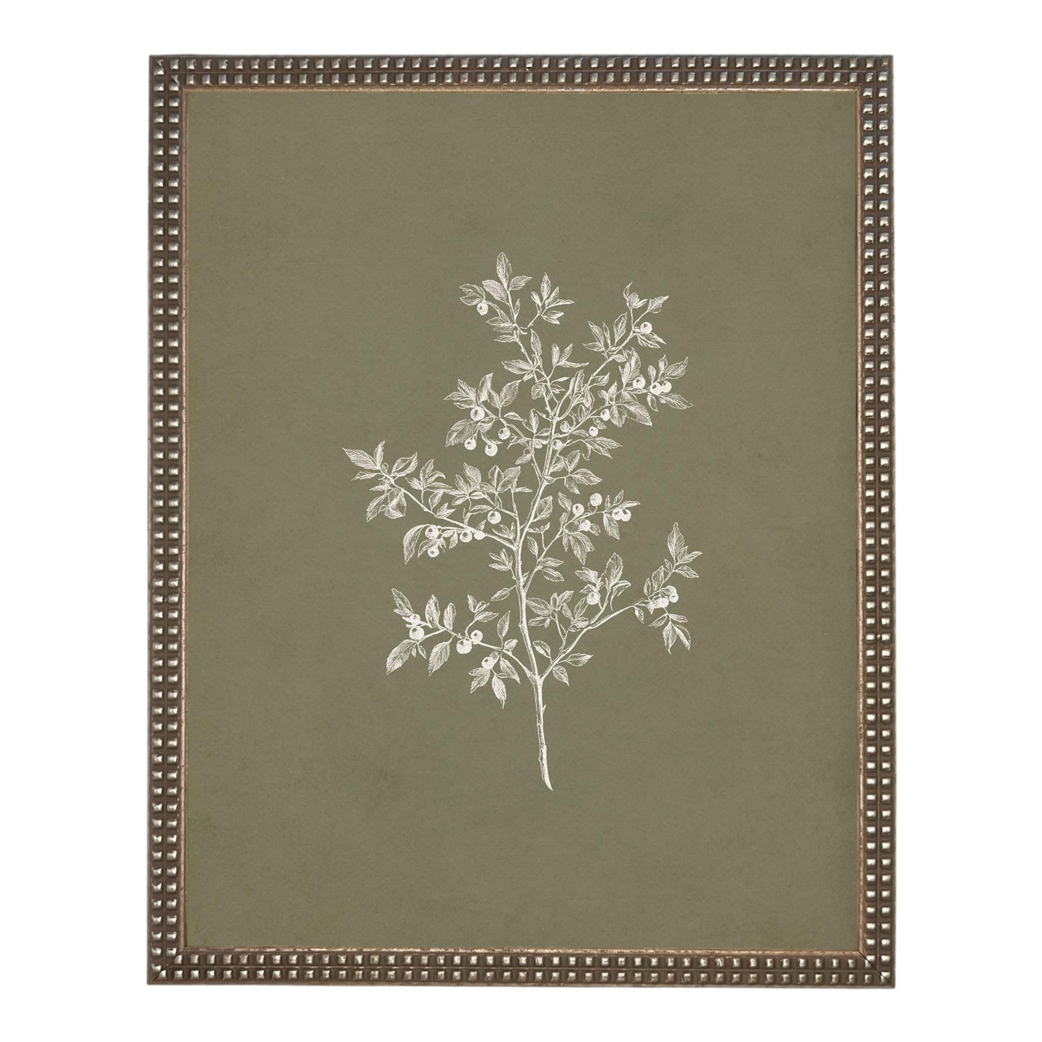 Framed Vintage Botanical Print on Canvas #ST-170