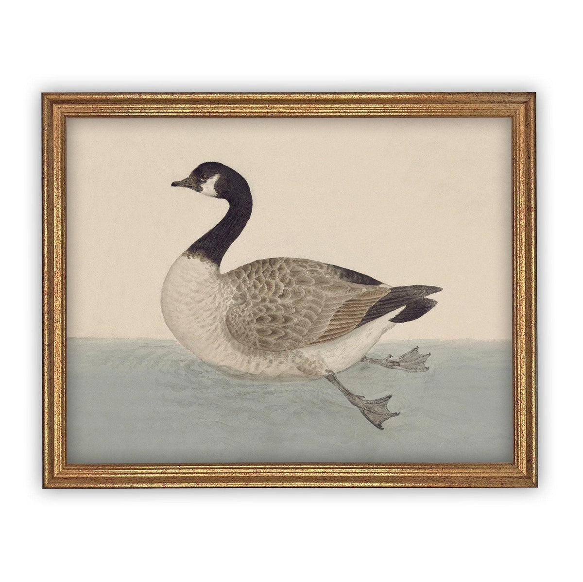 Framed Canvas Art #A-105