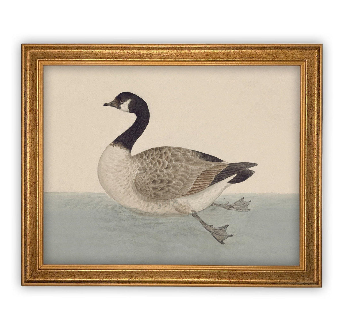 Framed Canvas Art #A-105