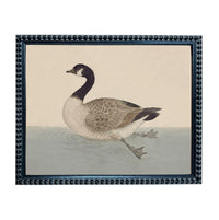A painting of a duck swimming in a body of water, framed in a black frame with a decorative border.