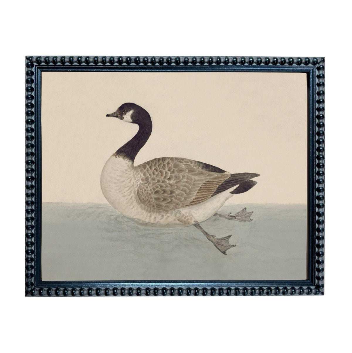 A painting of a duck swimming in a body of water, framed in a black frame with a decorative border.
