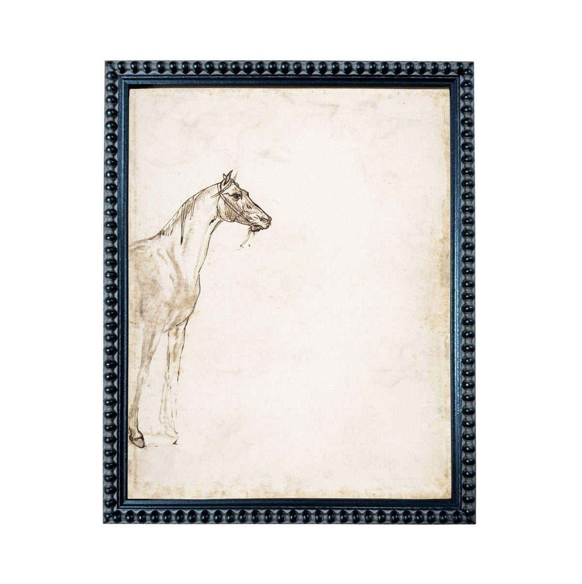 a horse in a black frame.