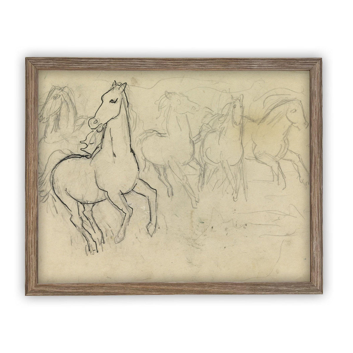READY to SHIP 8X10 Vintage Framed Horse Sketch Art Print: Farmhouse Canvas