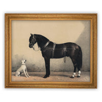 Framed Canvas Art #A-124