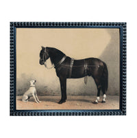 A black and white photograph of a horse and a dog standing together in a simple, uncluttered setting.