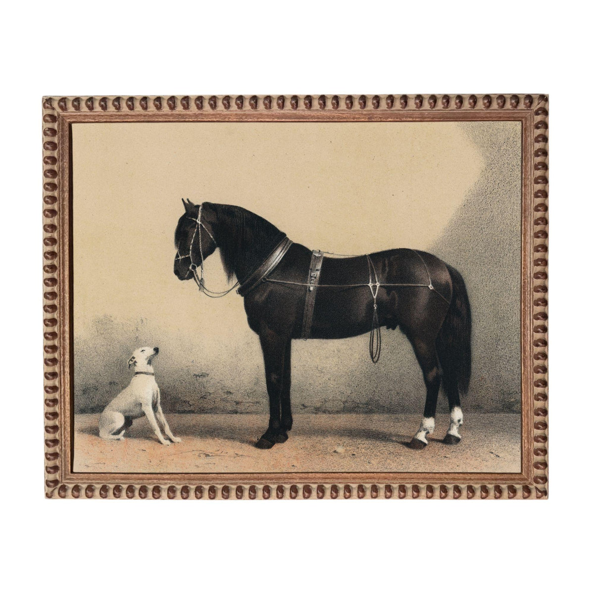 A black horse and a white dog standing together in a simple, uncluttered setting.