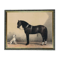 A black horse and a white dog standing together in a simple, black and white image.
