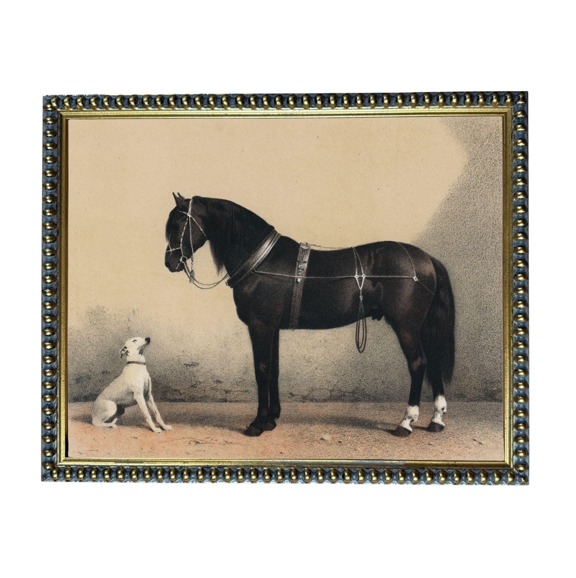 A black horse and a white dog standing together in a simple, black and white image.