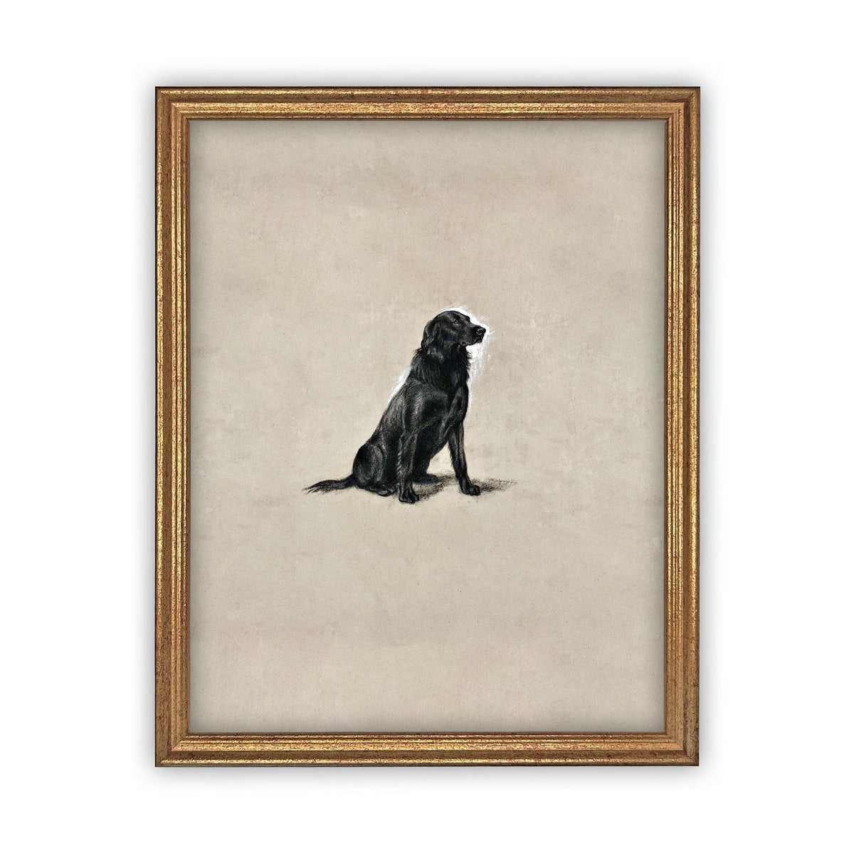 Framed Canvas Art #A-118
