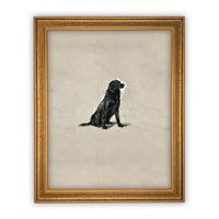 Framed Canvas Art #A-118
