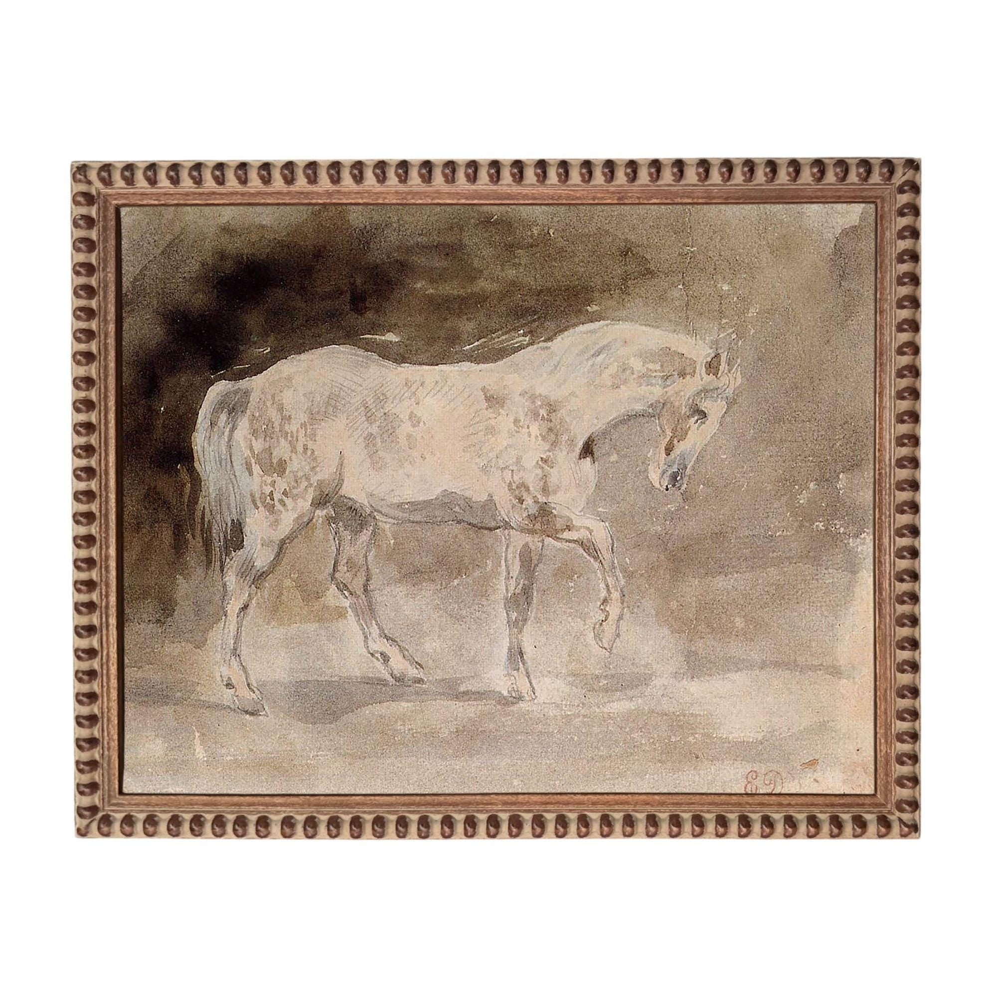 a horse walking in a field.