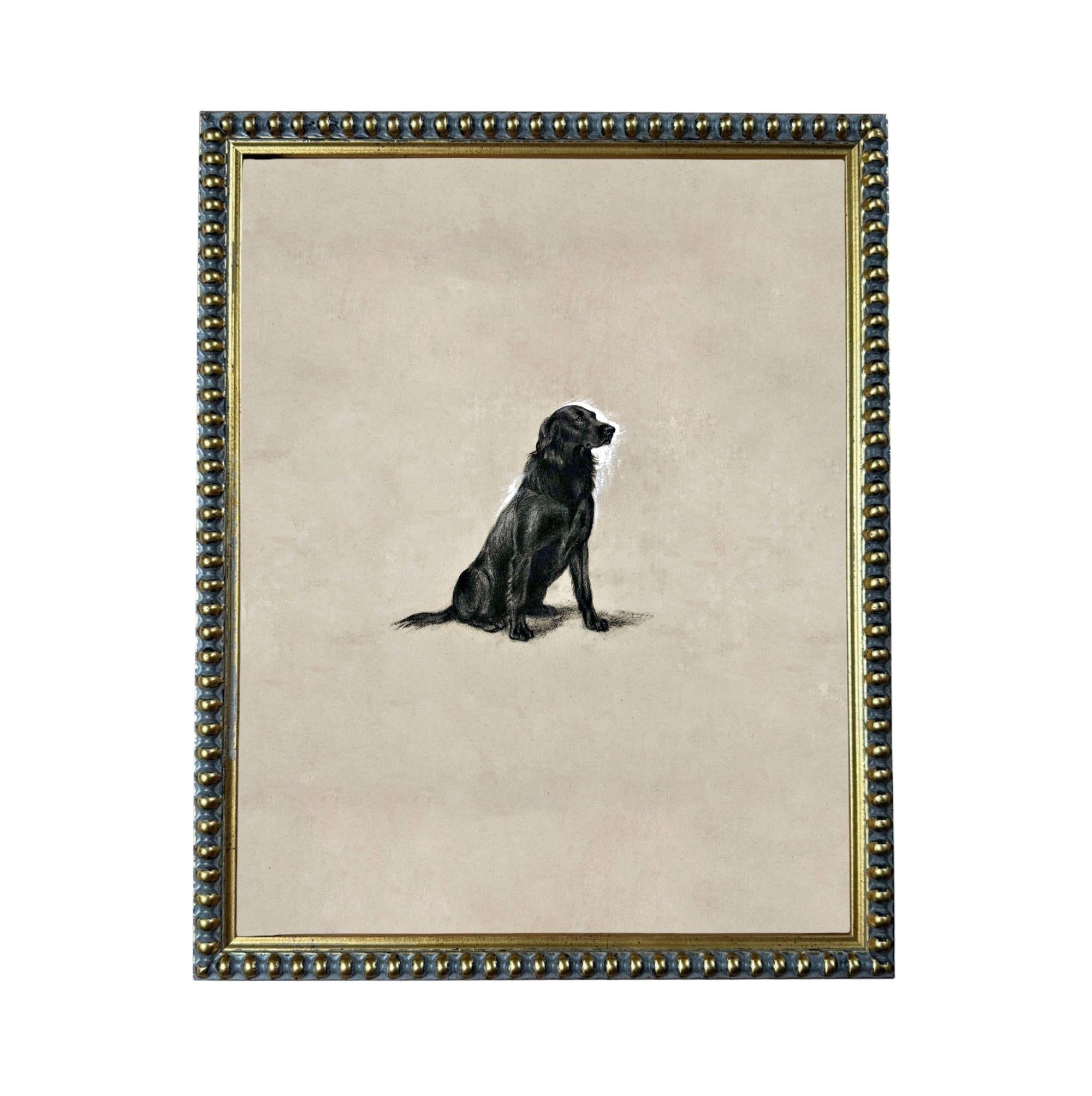 A black dog sitting on a beige background, framed in a decorative gold frame.