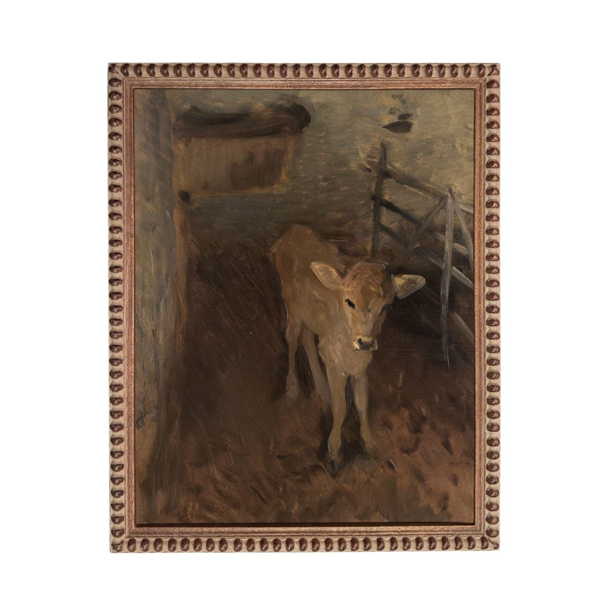 a young calf standing in a pen, with a wooden fence and a wooden structure visible in the background.