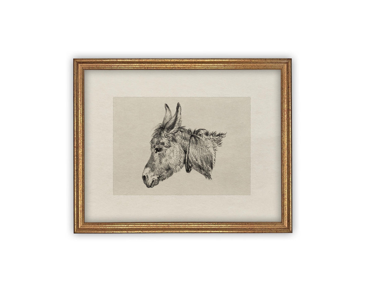 Vintage Framed Canvas Art #A-177