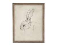 Vintage Framed Bunny Sketch Art #A-204