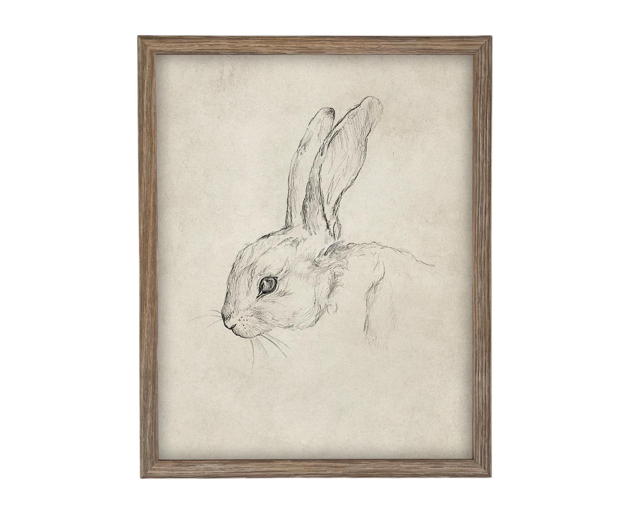Vintage Framed Bunny Sketch Art #A-204