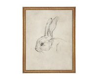 Vintage Framed Bunny Sketch Art #A-204