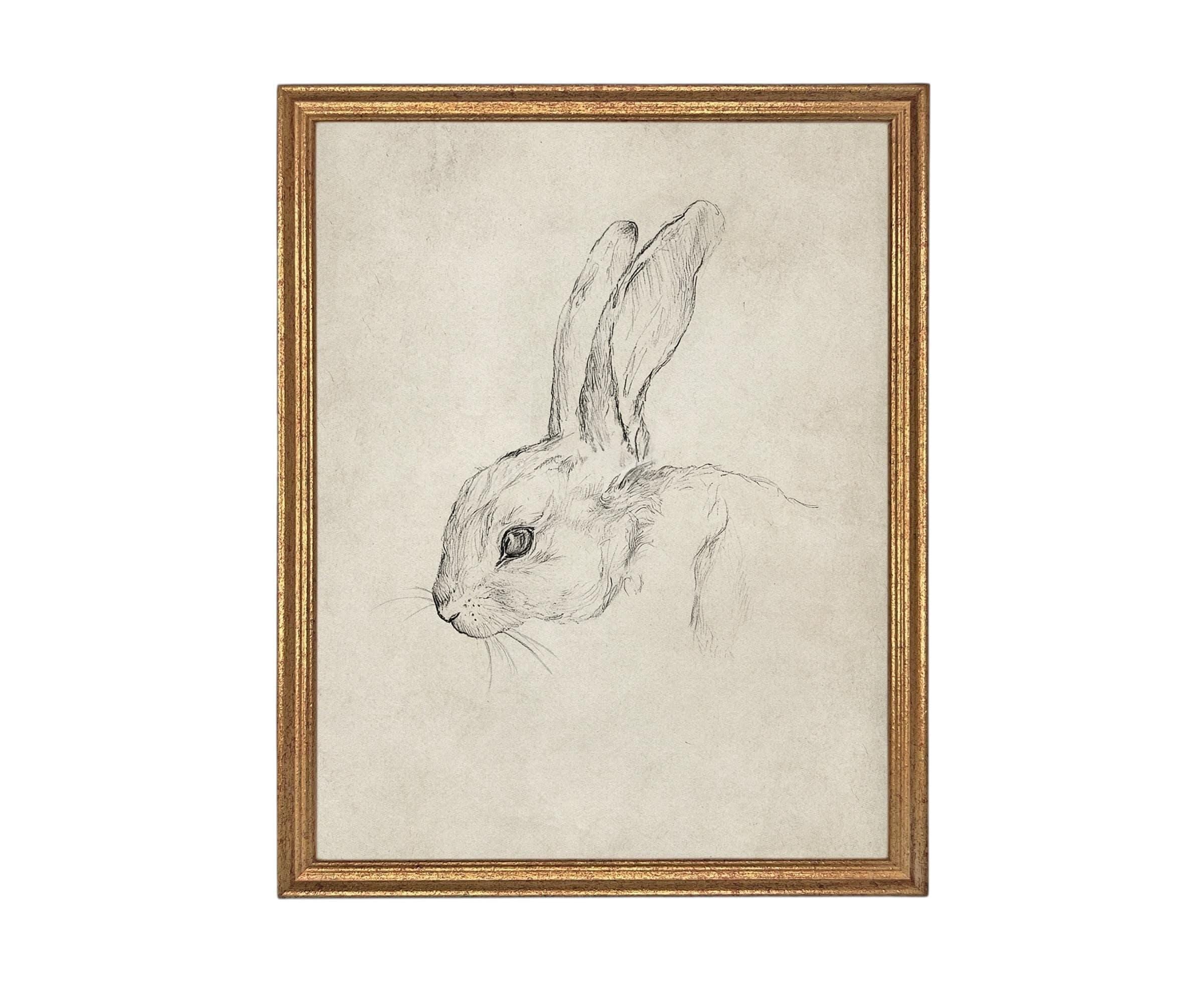 Vintage Framed Bunny Sketch Art #A-204