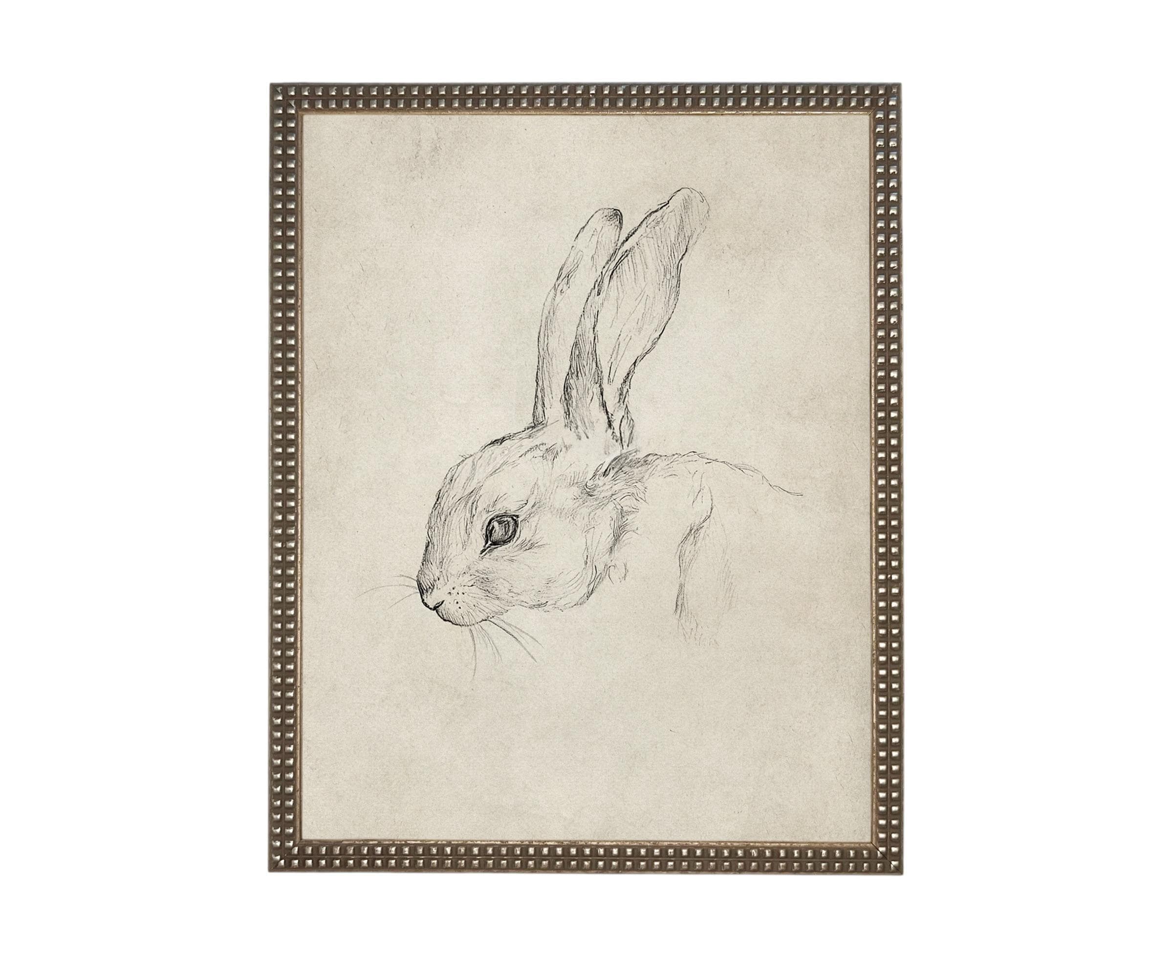 Vintage Framed Bunny Sketch Art #A-204