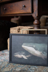 Framed Vintage Nautical Whale Art #COAS-206
