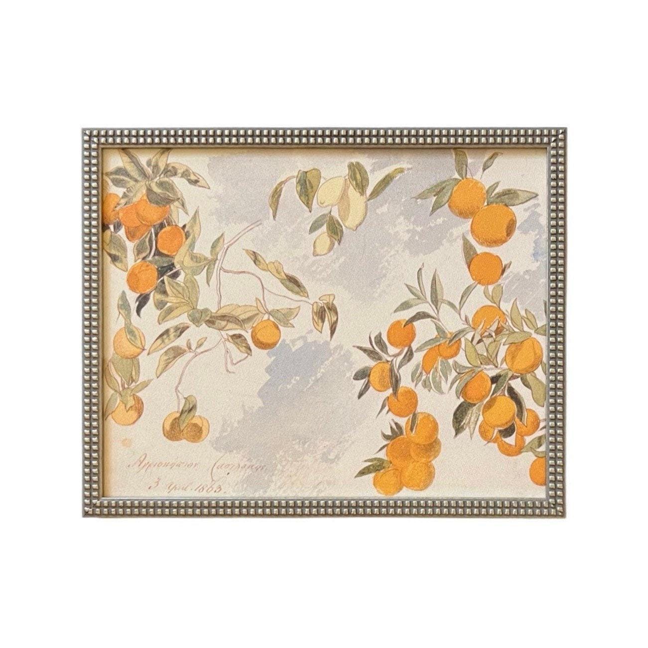 Framed Farmhouse Canvas Art #BOT-110