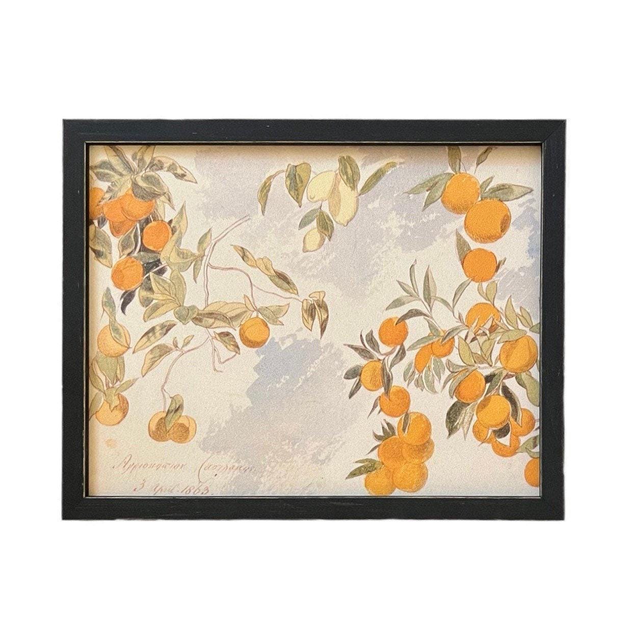 Framed Farmhouse Canvas Art #BOT-110