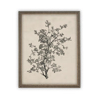 Vintage Framed Canvas Art #BOT-139