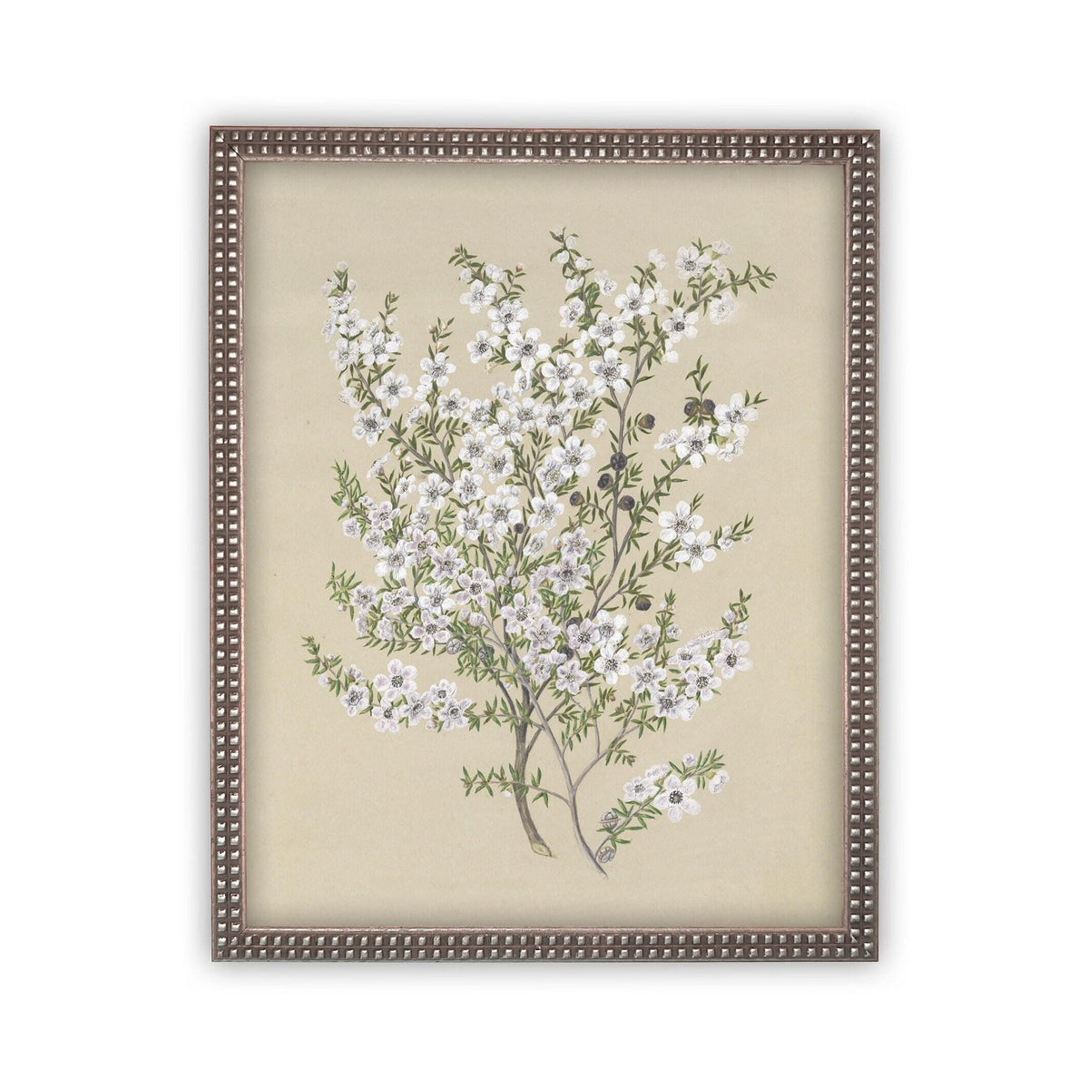 Vintage Framed Canvas Art #BOT-130