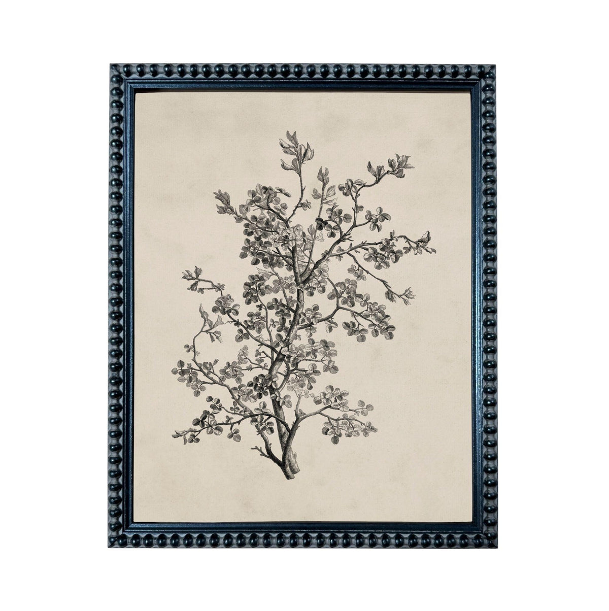 A framed black and white illustration of a tree with intricate branches and leaves.