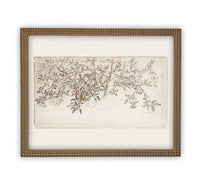 READY to SHIP 24X36 Framed Vintage Citrus Tree Print: Botanical Sketch Canvas Art