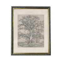 The image is a black and white sketch of a large tree with a thick trunk and sprawling branches, set against a landscape background.