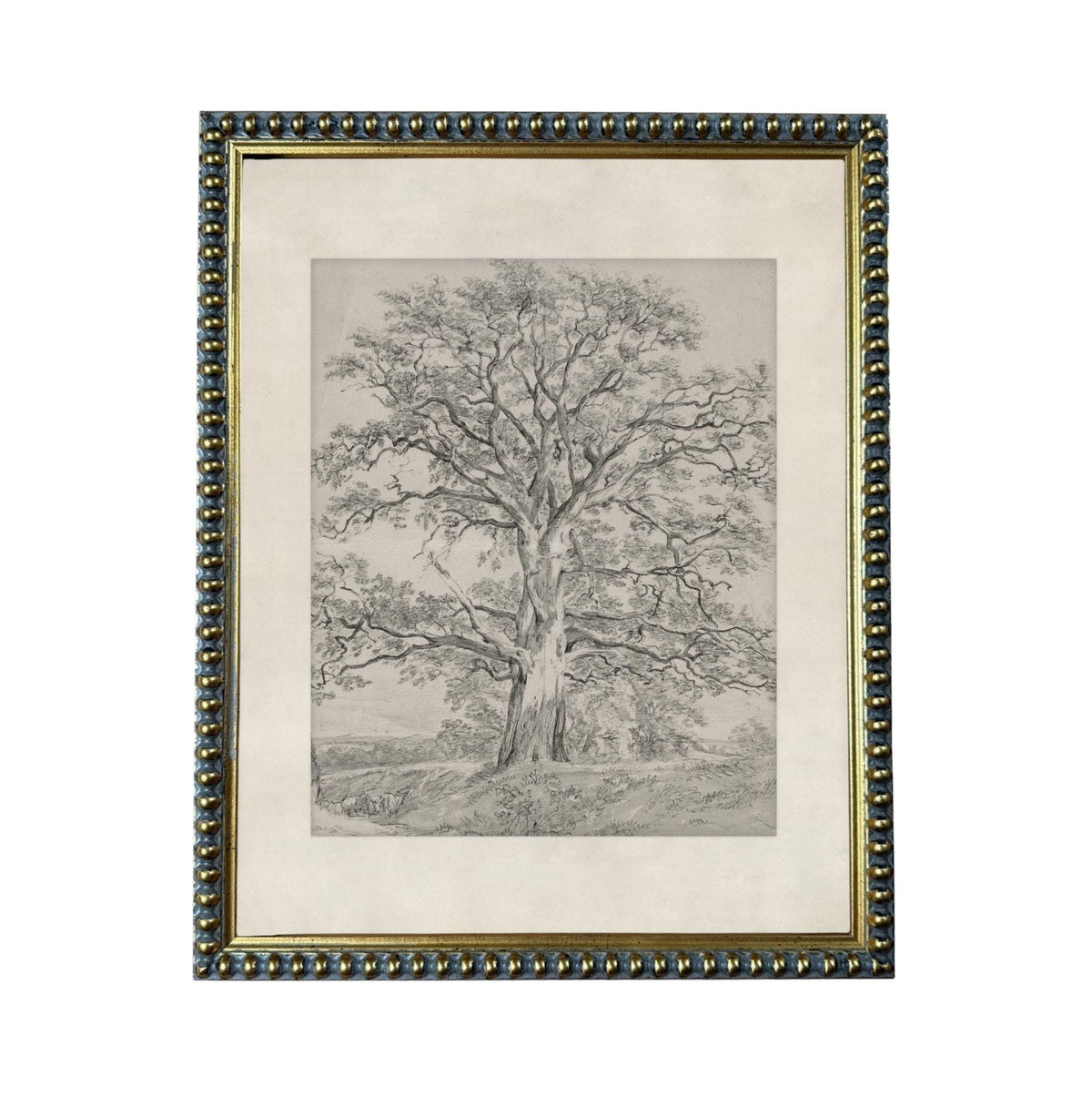 The image is a black and white sketch of a large tree with a thick trunk and sprawling branches, set against a landscape background.