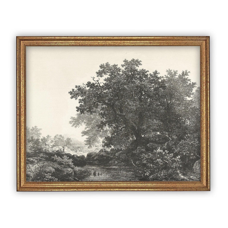 Vintage Framed Canvas Art Black White Tree Sketch #LAN-149