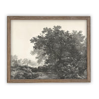 Vintage Framed Canvas Art Black White Tree Sketch #LAN-149