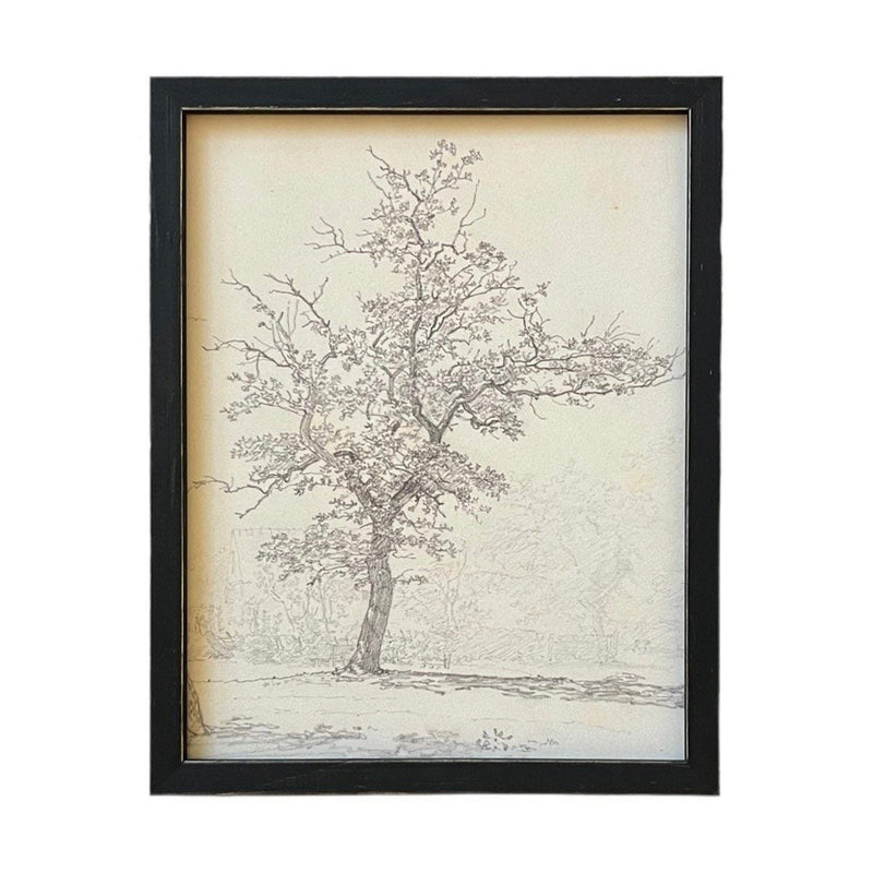 Vintage Framed Canvas Art  // Framed Vintage Print // Vintage Painting // Black White Tree Sketch // Farmhouse print //#BOT-116