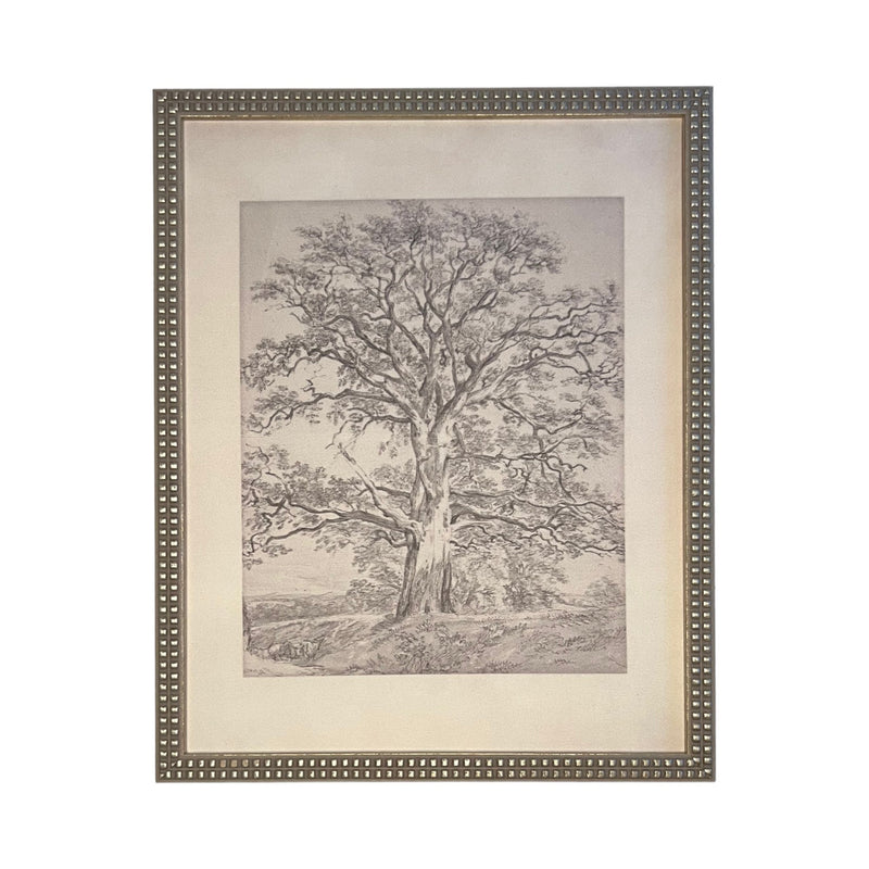 Vintage Framed Canvas Art  // Framed Vintage Print // Vintage Painting // Black White Tree Sketch // Farmhouse print //#BOT-121