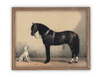 Vintage Framed Canvas Art  // Framed Vintage Print // Vintage Painting // Horse and Dog Equestrian Art // Farmhouse print //#A-124