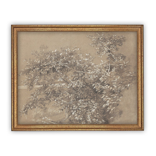 Vintage Framed Canvas Art  // Framed Vintage Print // Vintage Painting // Neutral Botanical Sketch // Farmhouse print //#BOT-112