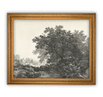 Vintage Framed Canvas Art  // Framed Vintage Print // Vintage Painting // Black White Tree Sketch // Farmhouse print //#LAN-149