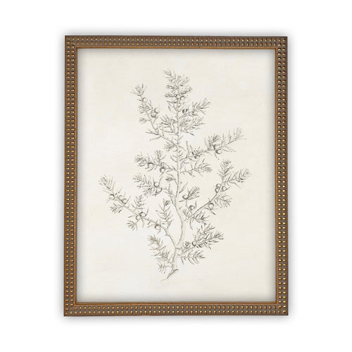 Vintage Framed Canvas Art  // Framed Vintage Print // Vintage Painting // Botanical Sketch // Winter Pine botanical print //#CH-308