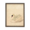 Vintage Framed Canvas Art  // Framed Vintage Print // Vintage Painting // White Swan Art // Girls Room or Nursery print //#A-101