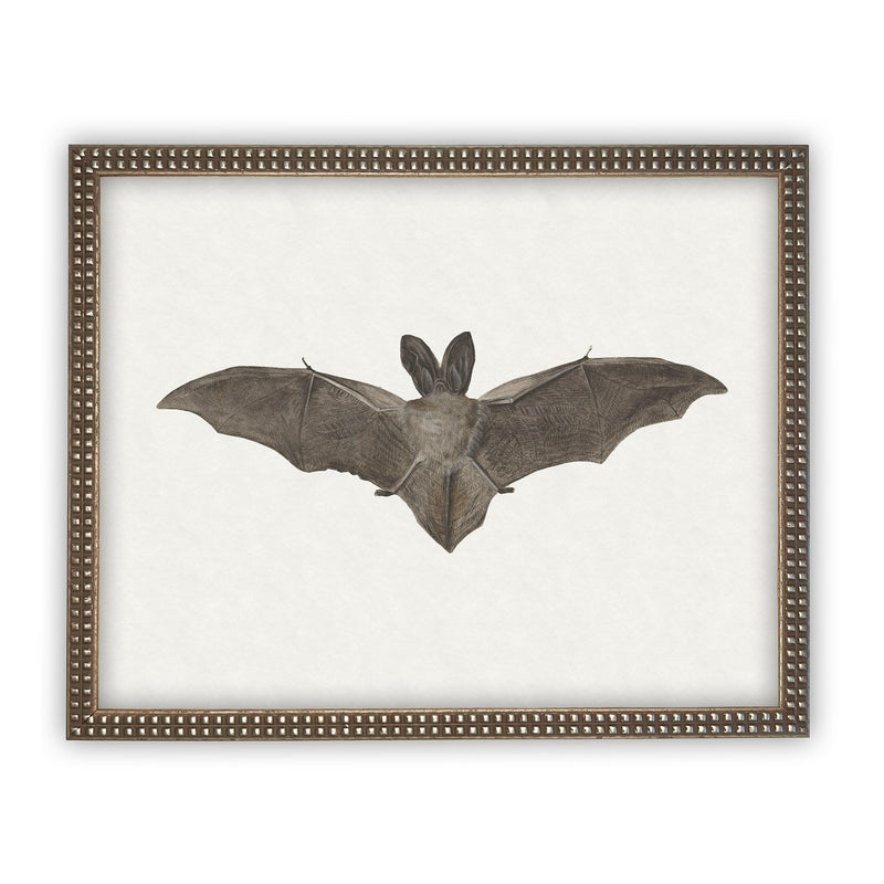 Vintage Framed Canvas Art  // Framed Vintage Print // Vintage Halloween Painting // Spooky Bat Wall Art // Halloween print //#H-101