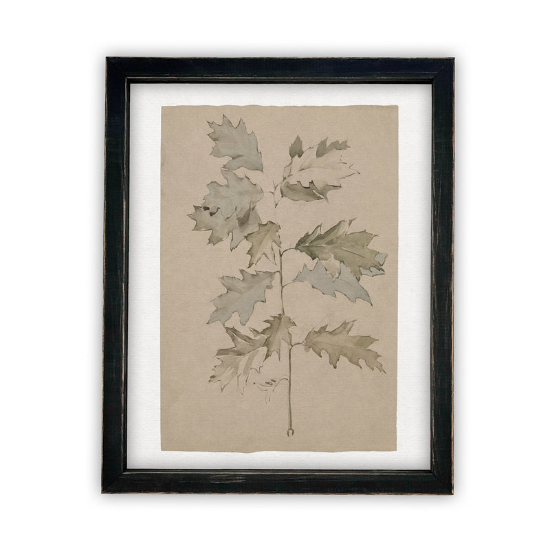 Vintage Framed Canvas Art  // Framed Vintage Print // Vintage Painting // Vintage Botanical Floral // Farmhouse print //#BOT-113