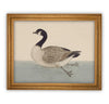 Vintage Framed Canvas Art  // Framed Vintage Print // Vintage Painting // Duck Art // Kids Room or Nursery print //#A-105