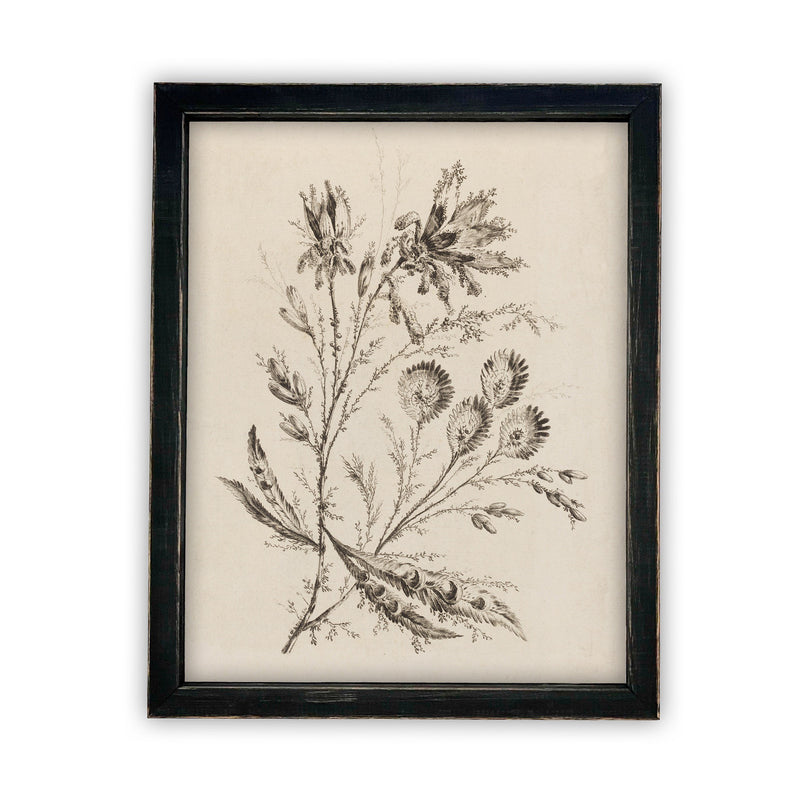 Vintage Framed Canvas Art  // Framed Vintage Print // Vintage Painting // Botanical Floral Sketch // Farmhouse print  //#BOT-115