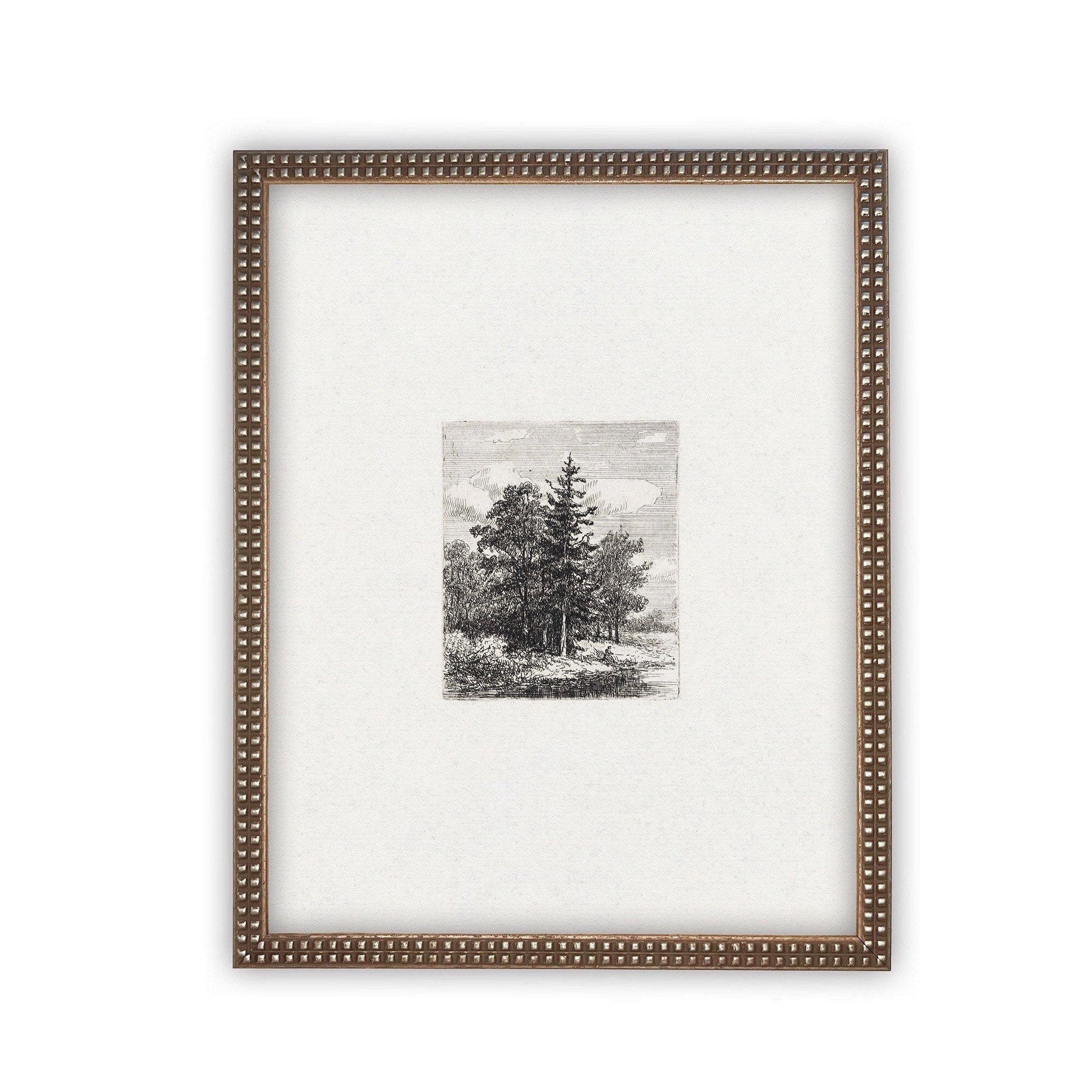 Vintage Framed Canvas Art  // Framed Vintage Print // Vintage Painting // Black White Tree Sketch // Minimalist Art //#LAN-108