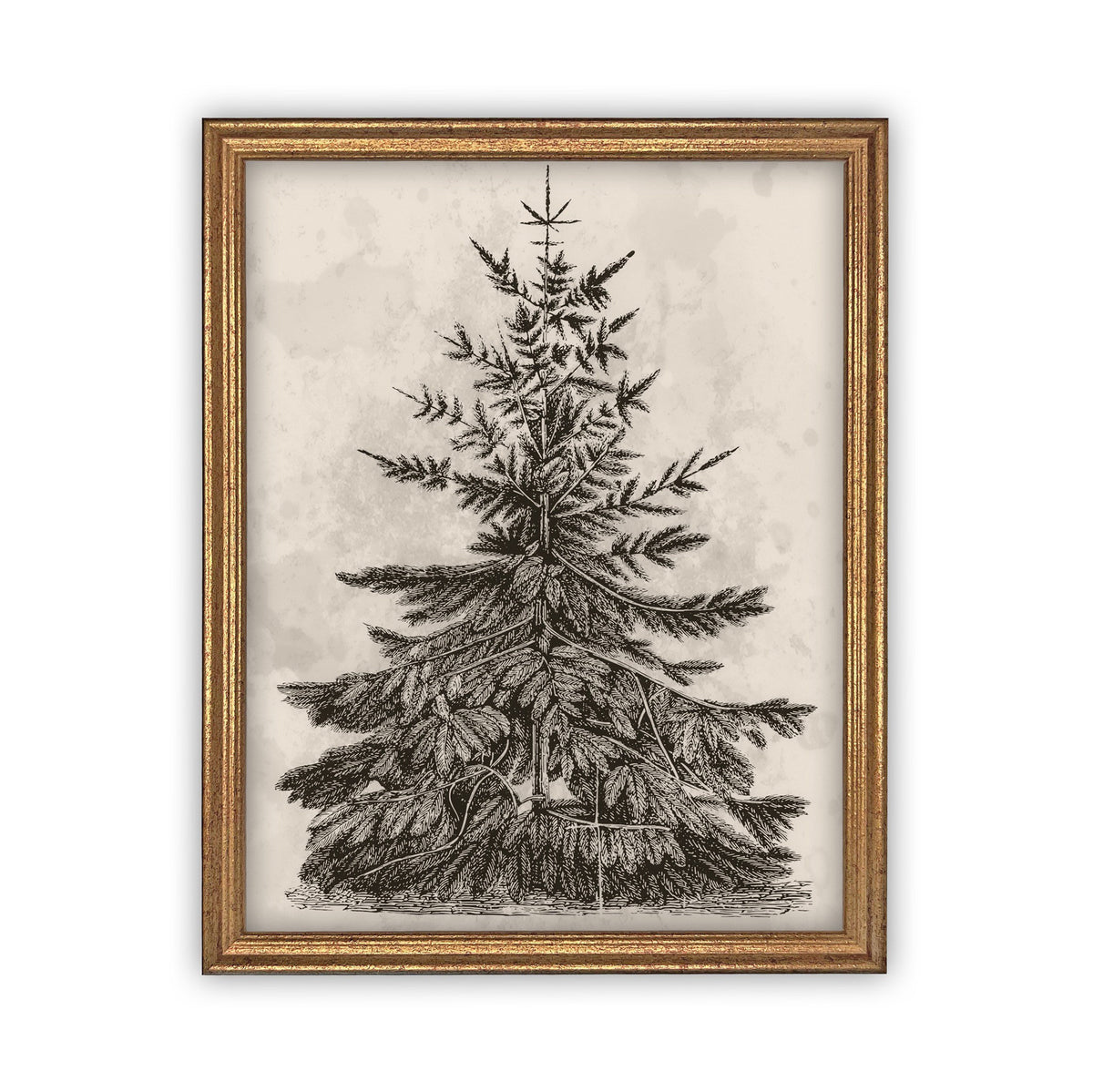Vintage Framed Canvas Art #CH-306